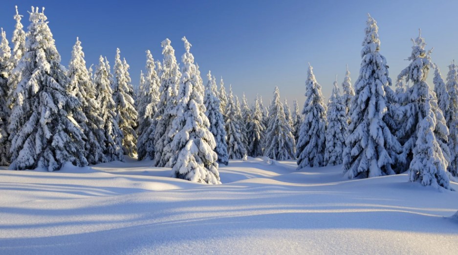 «Зима» — сочинение